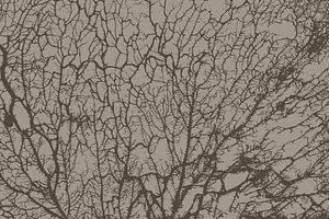 Die Seele des Waldes Warm Grau