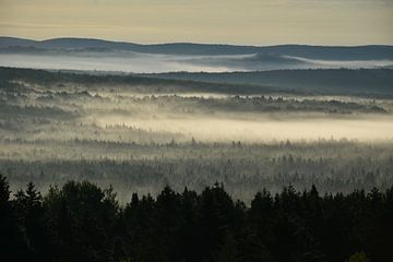 Ein Nebel an einem Herbstmorgen von Claude Laprise