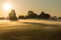Zonsopgang met mist