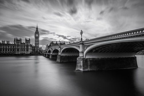 Westminster Serenity van Nader El Assy