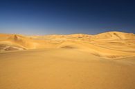 Namib-Wüste bei Swakopmund von Jan van Reij Miniaturansicht