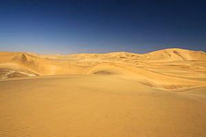 Namib woestijn nabij Swakopmund van Jan van Reij