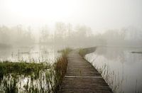 Waterig landschap