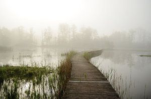 Waterig landschap von Marian Steenbergen