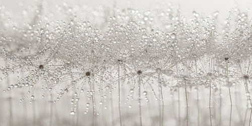 Abstract panorama van druppeltjes