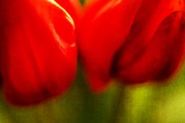 Energy by Petra Dreiling-Schewe