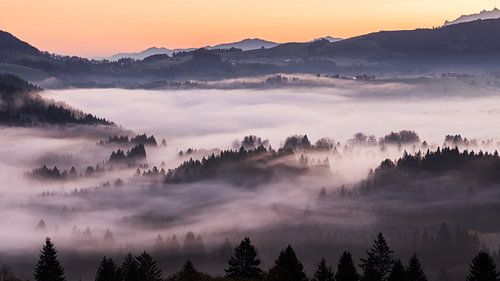 Mystieke mist boven Bennau, Kanton Schwyz