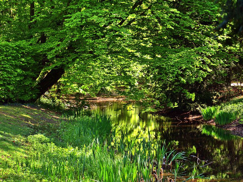 Tonalités vertes 4 par Edgar Schermaul