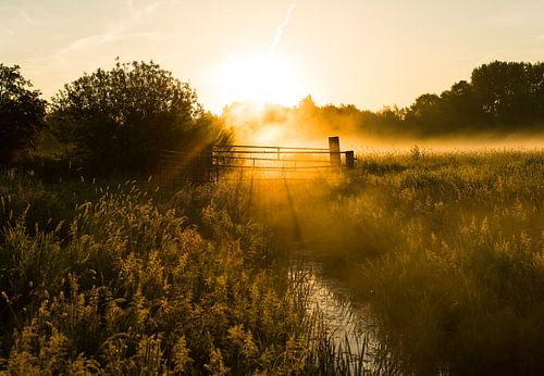 Foggy morning during sunrise