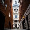 St Paul's Cathedral van Max ter Burg Fotografie