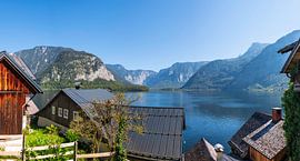 Panorama Lake Hallstatt by Peter Baier