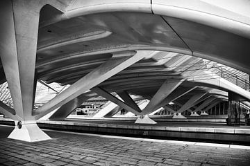 Treinstation Guillemins @ Luik van Rob Boon