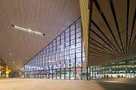 Rotterdam Centraal Station van Anton de Zeeuw thumbnail