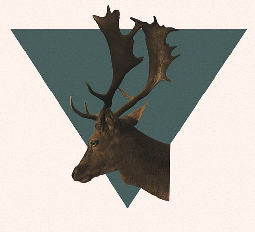 Deer Brown sur Mo Barends