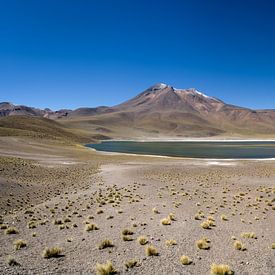 Laguna Miñiques von Gijs Roerdinkholder