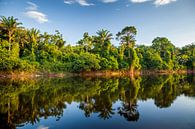 Vue sur le fleuve Suriname par Marcel Bakker Aperçu