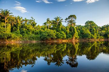 Uitzicht op de Suriname rivier van Marcel Bakker