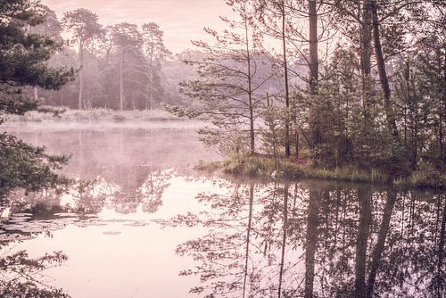 Mist in de vroege ochtend. Oisterwijk in Brabant.