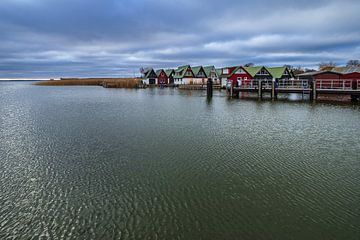 Boothuizen in de haven van Althagen op Fischland-Darß van Rico Ködder