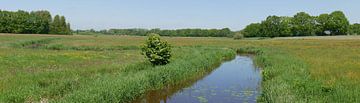 Die Reest ist ein Fluss in Drenthe. von Wim vd Neut