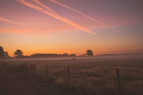 Lever du soleil dans la réserve naturelle de Bourgoyen - Ossemeersen, Gand, Belgique