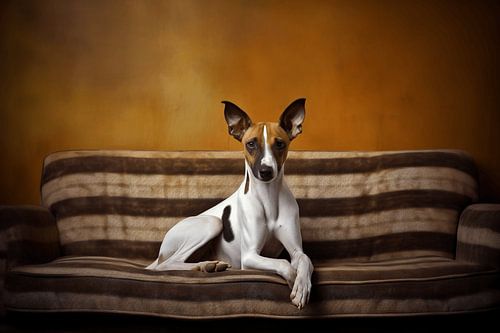 Eyes of Domesticity: A Shorthaired Dog on the Striped Bench