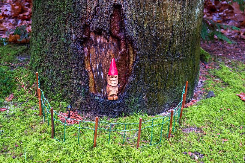 David the gnome by Evert Jan Luchies