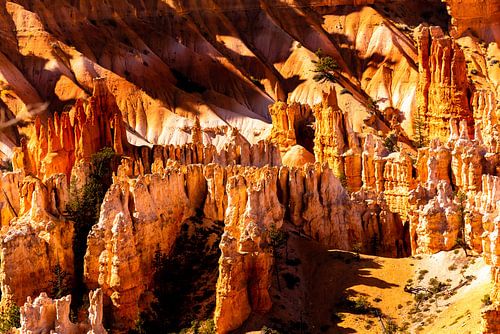 Natuurwonder Hoodoos bij Bryce Canyon National Park in Utah USA
