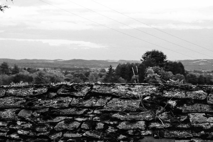 The Wall by Bart Houtman