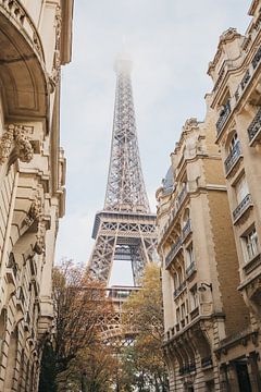 Eifel Tower in autumn | Travel photography France, Paris by Amy Hengst