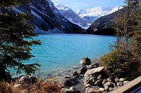 Pure Blue