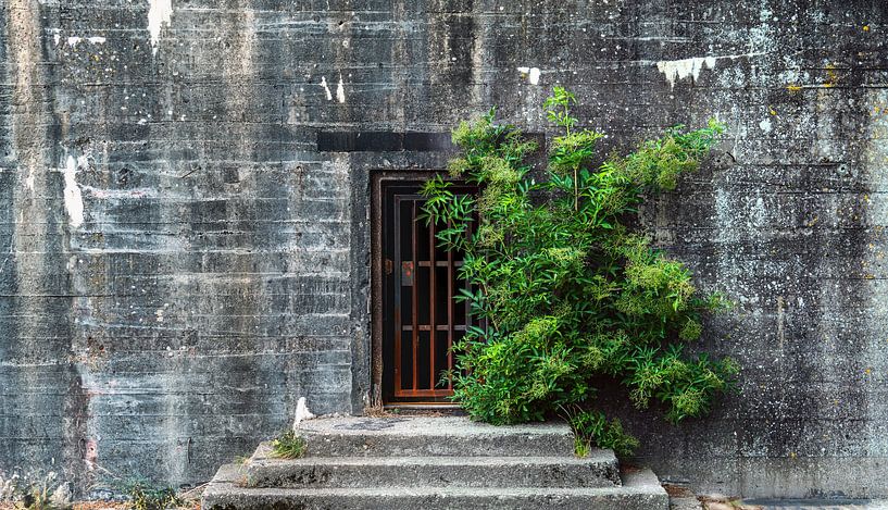 Detail Battery Fiemel (Termunten) by R Smallenbroek