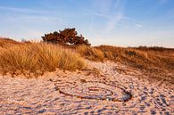 Strand in Kloster auf der Insel Hiddensee von Rico Ködder Miniaturansicht