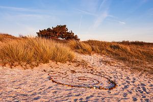 Strand in Kloster auf der Insel Hiddensee