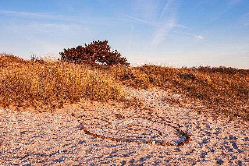Beach in Kloster on the island Hiddensee by Rico Ködder