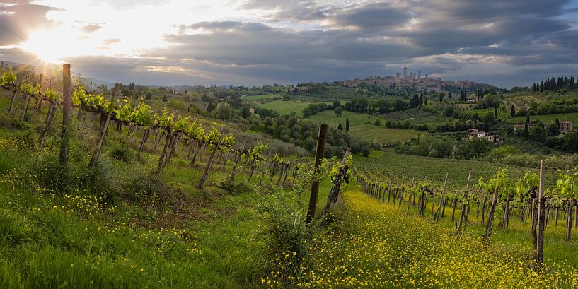 San Gimignano by Walter G. Allgöwer