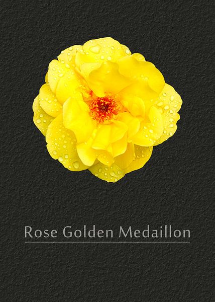 Rose Golden Medaillon van Leopold Brix