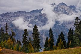 Hoher, strenger Steinberg (Felsgebirge) ragt in Wolkenstücken auf, im Vordergrund gefressene, streng