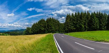Duitsland, XXL zwarte bos natuur weg panorama aan de rand van het bos van adventure-photos