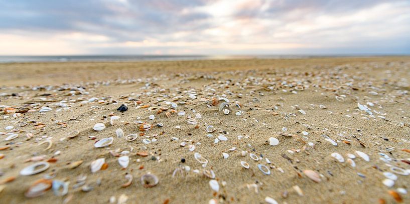 Shell sand by Alex Hiemstra