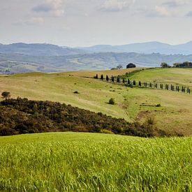 House on the hill by Graham Forrester