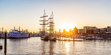 Excursieboten en zeilschepen in de haven van Hamburg - Hamburg van Werner Dieterich