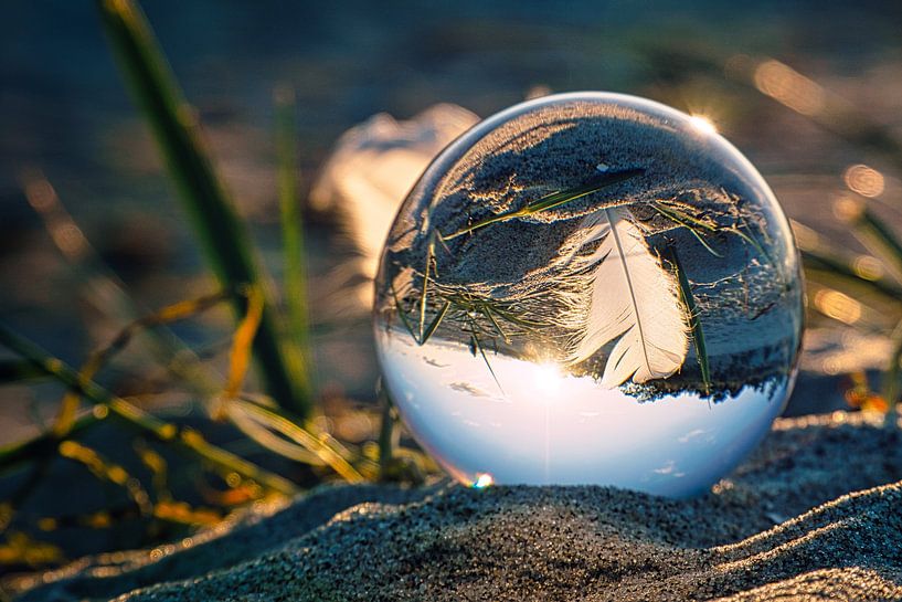 Glass ball on the beach of Zingst. A feather is reflected in the ball. by Martin Köbsch