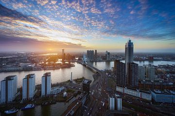 Entdecken Sie die Schönheit von Rotterdam von Roy Poots