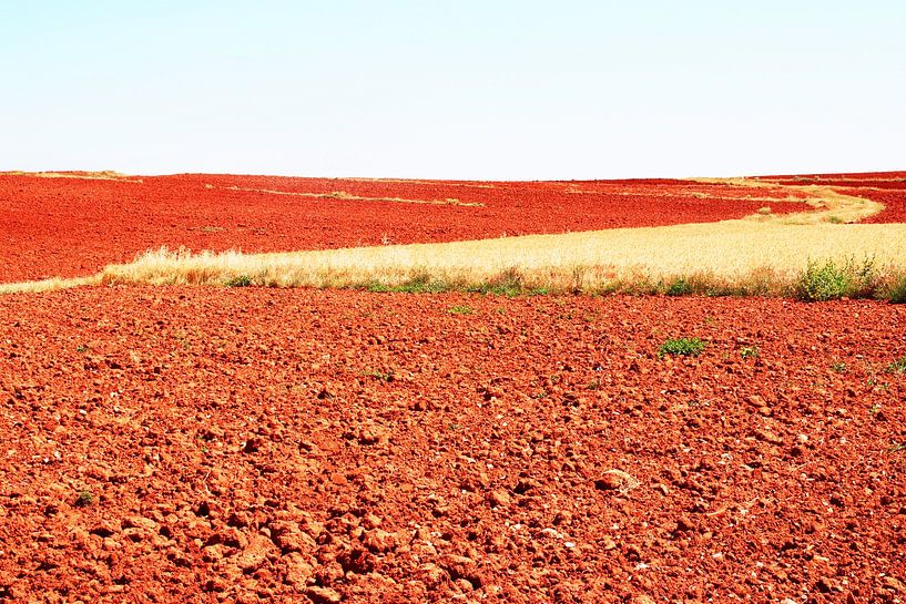 Spanish summer landscape by Inge Hogenbijl