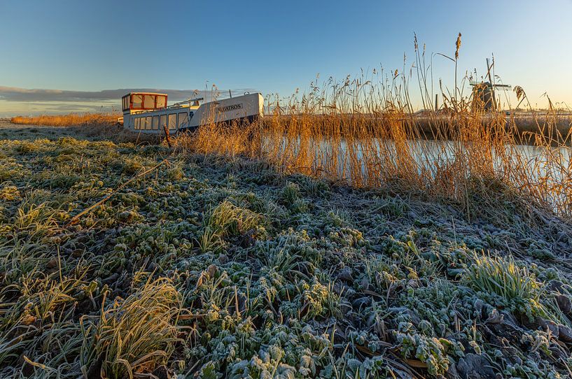 Ripe at the boat &quot;Albatros&quot; in Opmeer by peterheinspictures