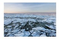 Creeping ice at sunrise 1 by Hans Soowijl thumbnail