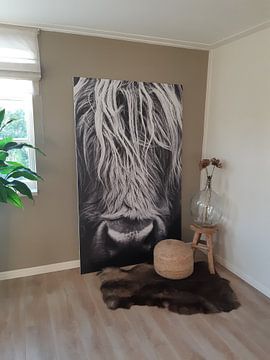 Kundenfoto: Schottischer Highlander von Desiree Tibosch