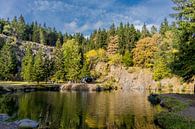 Autumn hike through the Thuringian Forest by Oliver Hlavaty thumbnail