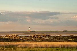 Vuurtoren van Westerheverzand bij zonsondergang van Alexander Wolff